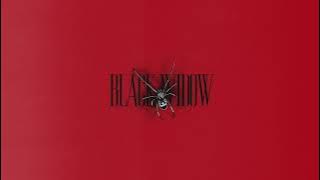 Alok, Kickbait & CERES - BLACK WIDOW (Official Audio)