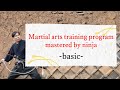 Martial arts training program mastered by ninja basic