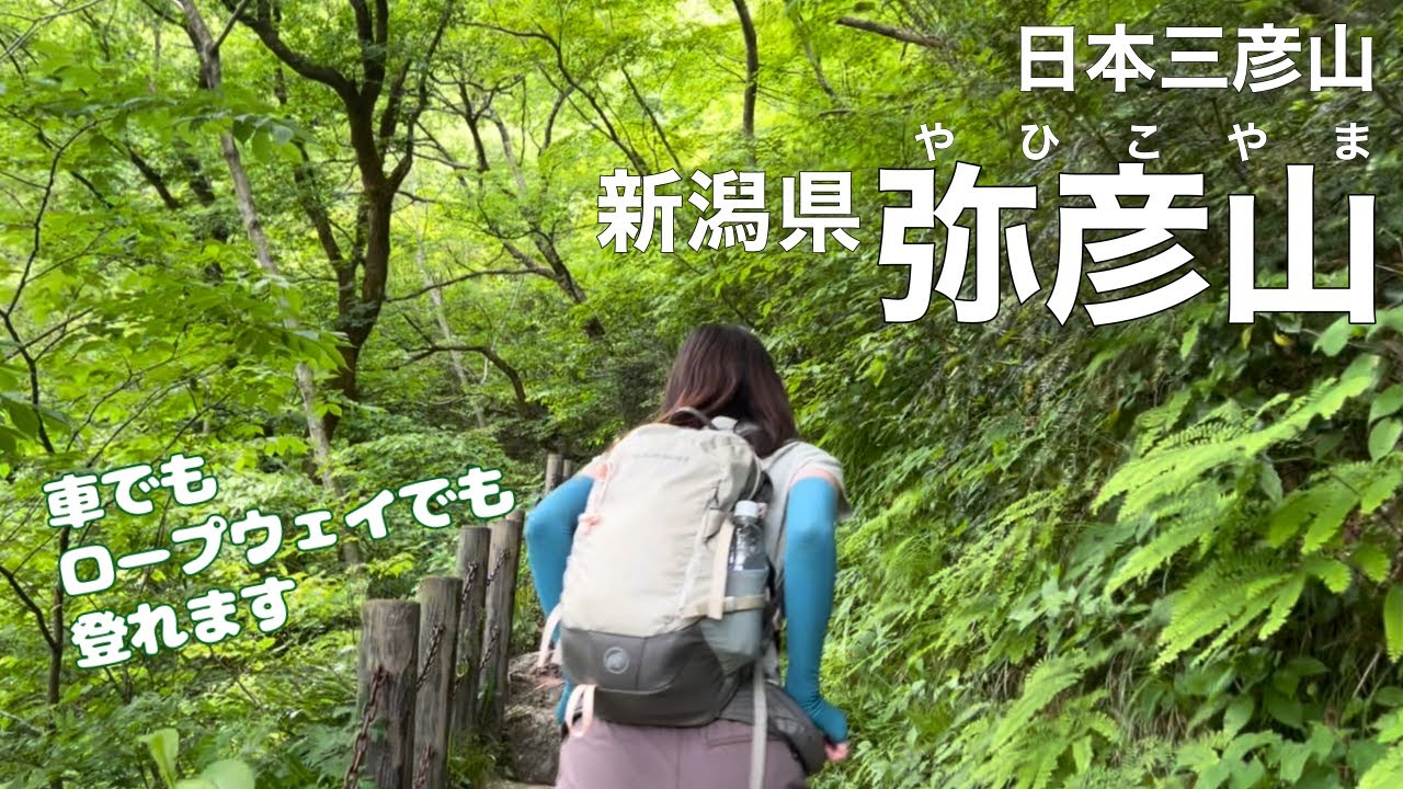 【嫁、初の新潟遠征登山】日本三彦山 弥彦山（やひこやま）〜下りは弥彦山ロープウェイ・弥彦温泉を堪能〜【アラフォー夫婦登山】