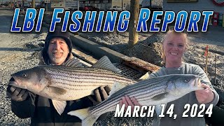 LBI NJ Fishing Report - LBI's Premier Fishing Report By