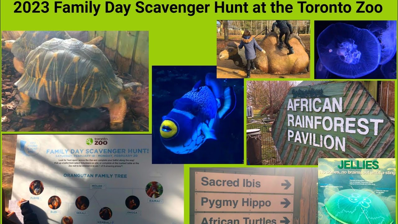 2023 Family Day Scavenger Hunt - Toronto Zoo - YouTube