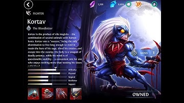 Heroes of order and chaos - Kortav