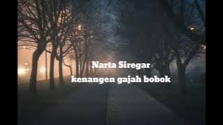 lagu karo || Narta Siregar || kenangan gajah bobok....