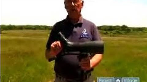 Get Started with Bird Watching : Advantages of Using a Telescope for Birding