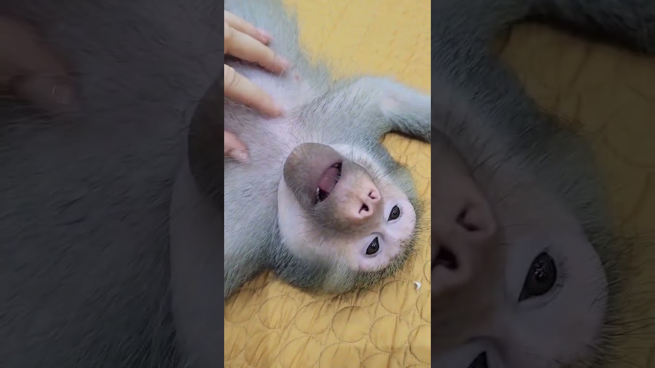 Трезвость это ваше нормальное состояние☝️🤣