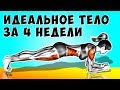 6 простых Упражнений, которые сделают Идеальное тело всего за 4 недели