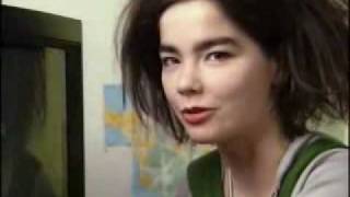 Björk talking about her TV chords
