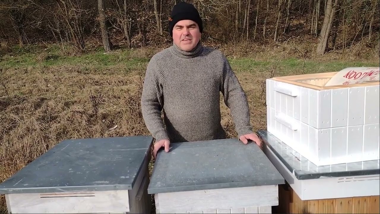 Wiosenne pobudzanie rodzin pszczelich - Faza II