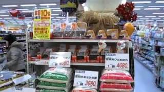 SevenDesign.vn - Adventures- Japanese Supermarket