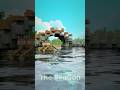 High Speed Rowing 🌊 ⛵ 😺 #shorts #minecraft #animation