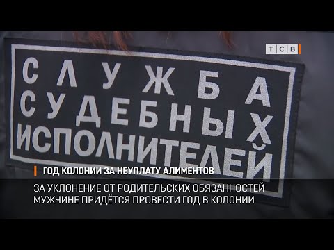 Год колонии за неуплату алиментов