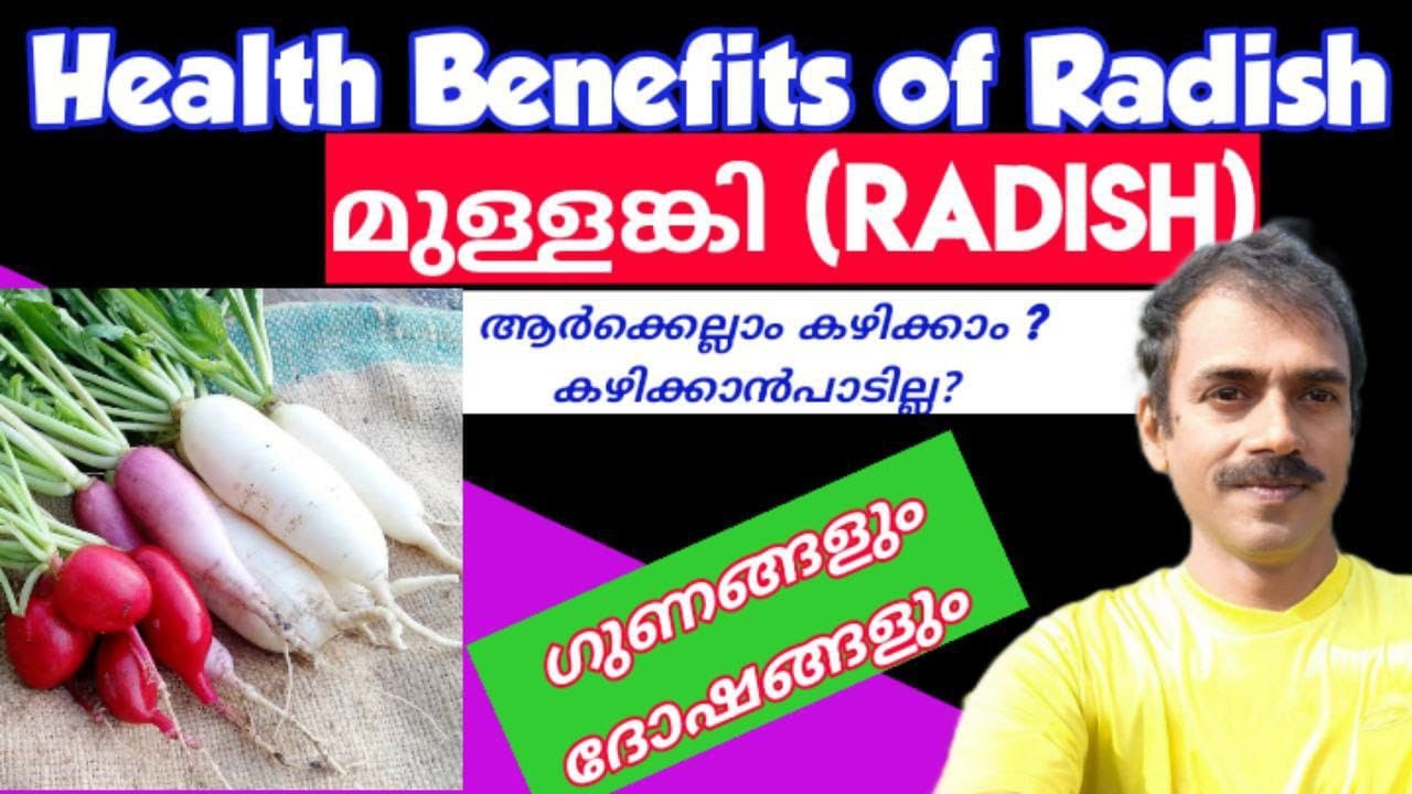 റാഡിഷ് (മുള്ളങ്കി)കഴിച്ചാൽ വണ്ണം കുറക്കാനും ഷുഗറിനും Benefits of Radish