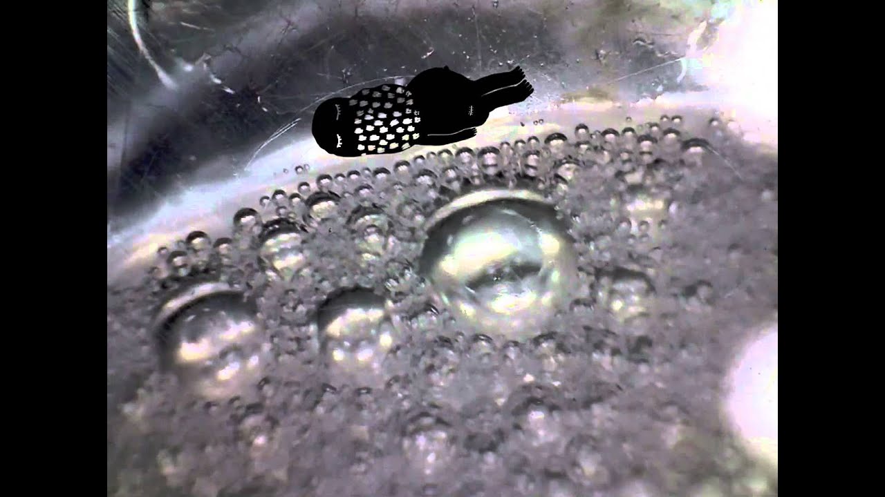 Bahlsen - Barattolo Art Déco Barattolo Con Coperchio - Foto 8