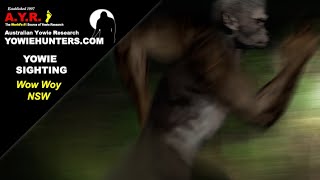 Yowie / Bigfoot Sighting (Audio Report #148), at Brisbane Water National Park, New South Wales