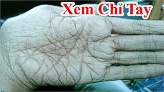 Top 10+ coi bói chỉ tay chính xác nhất hay nhất