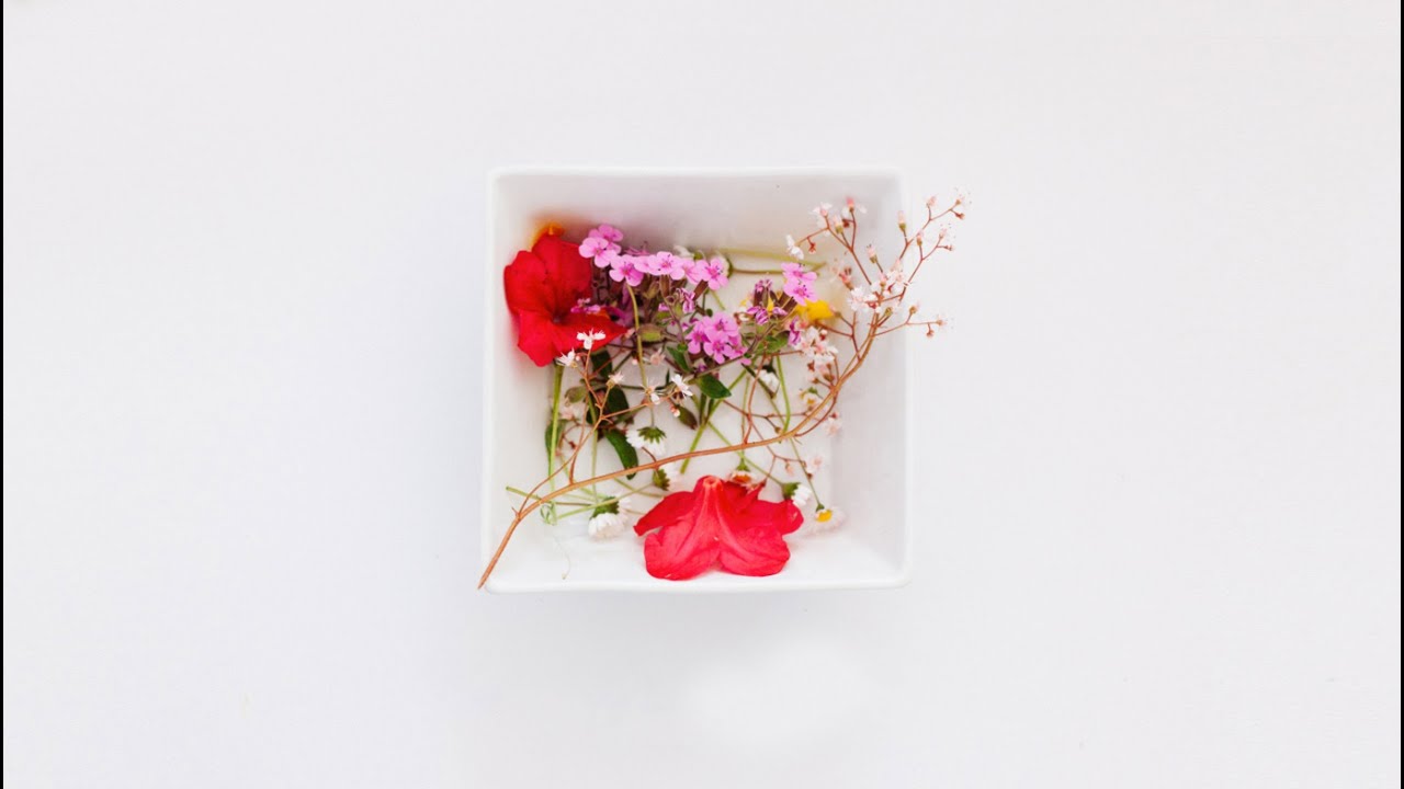 How to Press Flowers Using a Microwave Flower Press - Run To Radiance