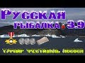 Русская рыбалка 3.9. Турнир Фестиваль Лосося.