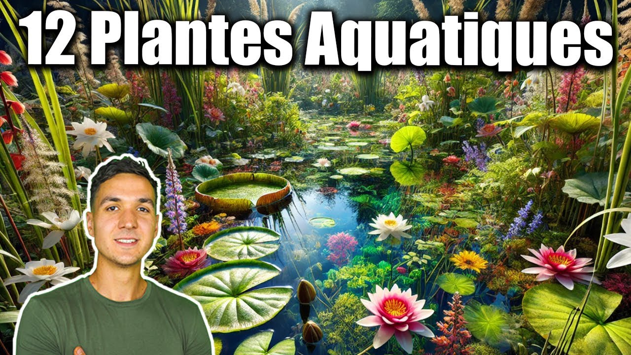 12 Plantes qui Vont Transformer Votre Bassin en Paradis Aquatique ! (Idéale pour Sol Humide)