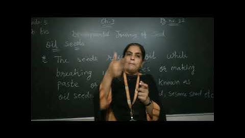 GRADE - 5 -  EVS -  [ CHAPTER - 3    PART -  2]  [ DEVELOPMENTAL  JOURNEY OF SEED]