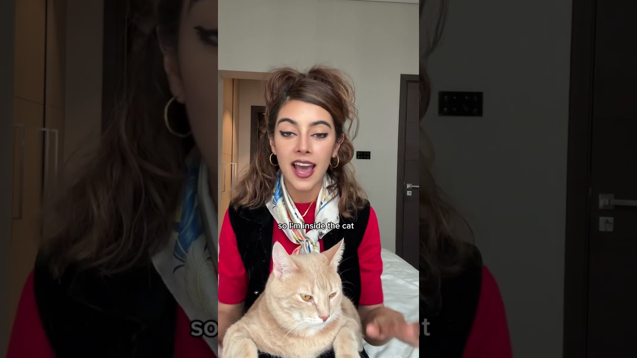 WHAT DOES THIS MEAN?? 