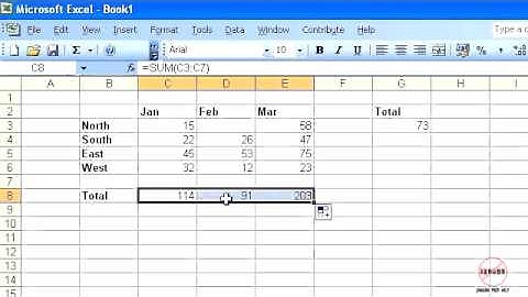 Excel 2003: AutoSum (works in all versions including 2007, 2010, 2013, 2016)