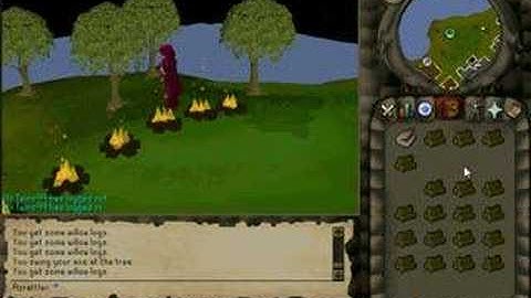 how to cut willow logs