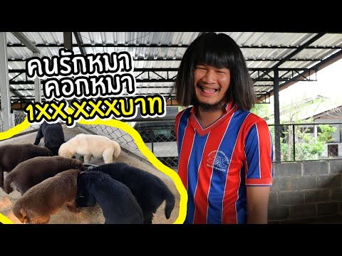 จ่าลอดกับคอกหมาหลักแสน