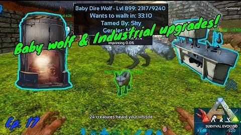 Wolf breeding and Industrial upgrades! Episode 17. Ark Survival Evolved