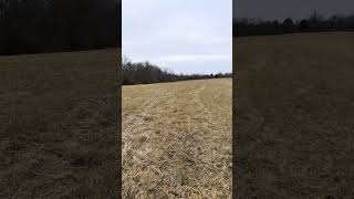 Black Sheep hilltop pasture by Black Sheep Mountain 24 views 3 months ago 2 minutes, 6 seconds