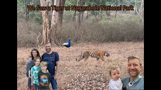 We Searched for Wild Tigers at Nagarahole National Park, Were we successful? | American Foreigners