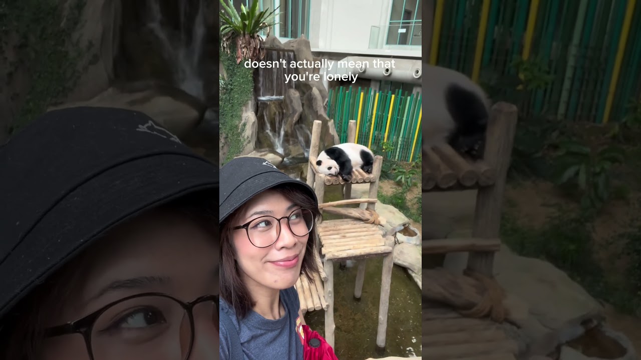 a little take back from my solo trip to the zoo ❤️‍🩹 full video on my channel!