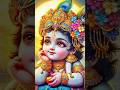 🌿🌸भगत मुरली वाले की🪈🦚✨️🎶🙏 #status #viral #ytshorts #trending #music #krishnastatus #love #viralvideo