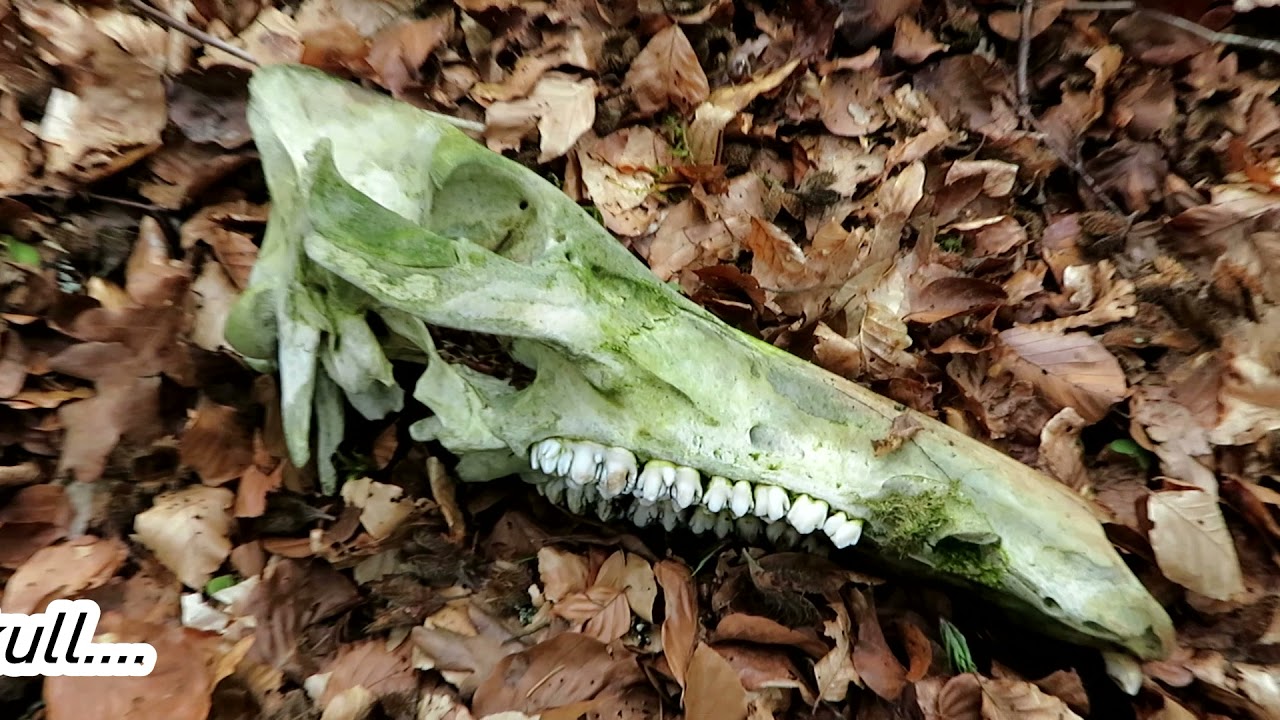 Die Lindelbachbahn & ihre Gruben E18 - Suche nach Grube Anna