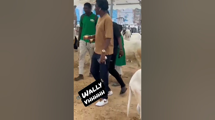Wally B SECK Au daral Pour Acheter des Moutons de Tabaski ❤️