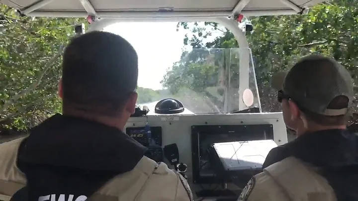 Florida FWC officers patrol Keys during lobster mi...