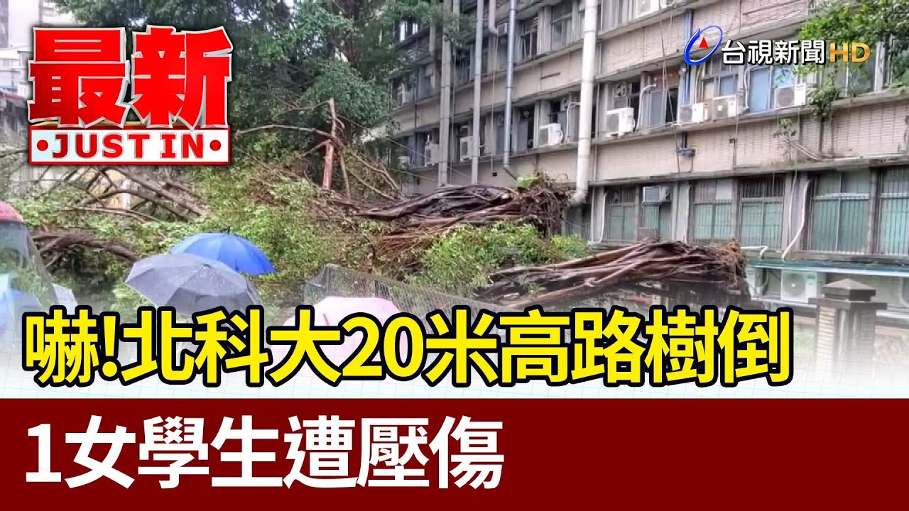 大雨炸全台！苗栗泥水淹蓋　北市樹倒塌、彰化積水10cm｜生活｜天氣｜看新聞