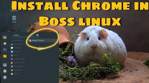 How to install Google Chrome 🧭 in Boss linux 🇮🇳
