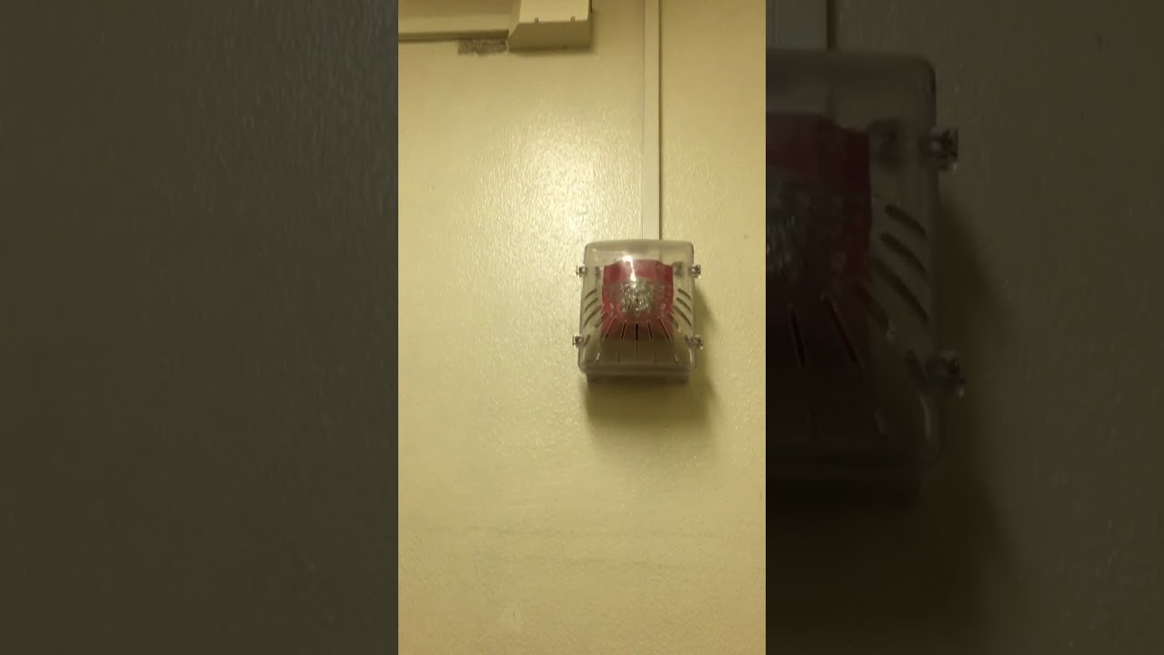 the fire alarm went off while i was in the bathroom..... YouTube