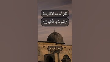 سورة البروج الآية ١ الى ٨ بصوت الشيخ محمد صديق المنشاوي