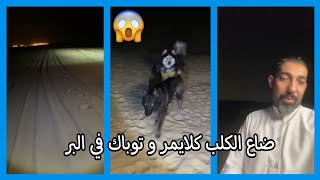 عبدالرحيم ضيع الكلب كلايمر و توباك في البر 😱 \ سناب عبدالرحيم Bingoo