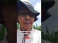 Mau tau kunci sukses budidaya? lakukan hal ini secara rutin.