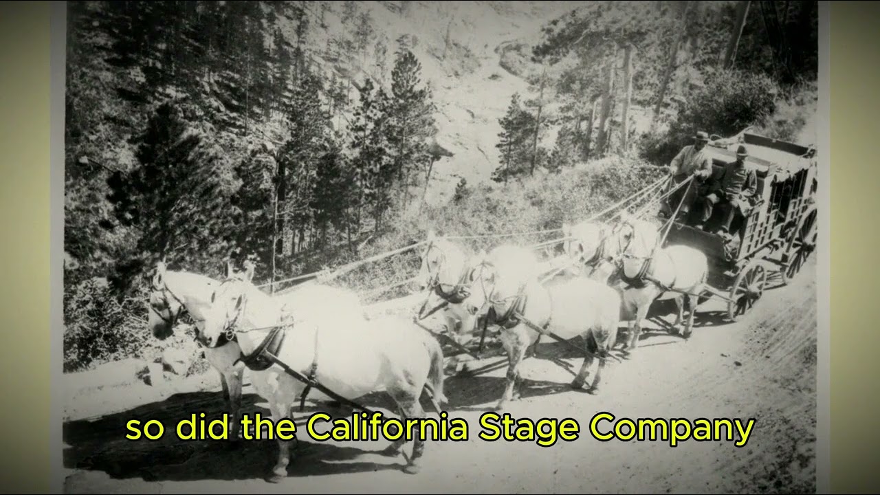 In 1858, a masked highwayman stepped onto a California stagecoach road and shouted the words every driver feared: throw down the box. The driver, know...
