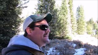 Couple see Bigfoot in headlights Monte Cristo Investigation