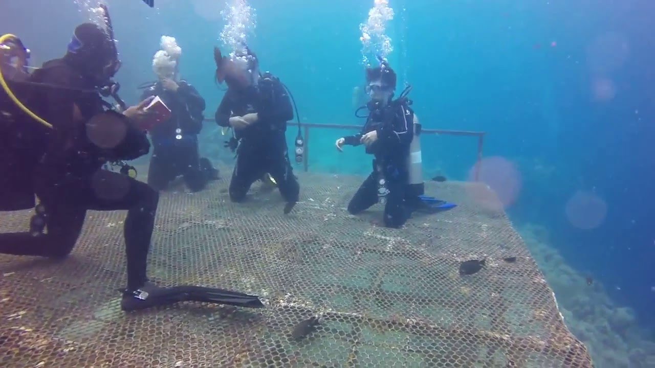 الغوصة الثالثه بحر من دورة غوص أوبن ووتر - منتجع بهادر بجدة