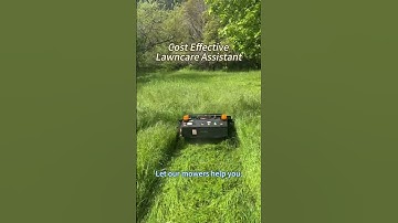 Cost-effective Vigorun remote operated track-mounted weeding machine for sale#agriculture