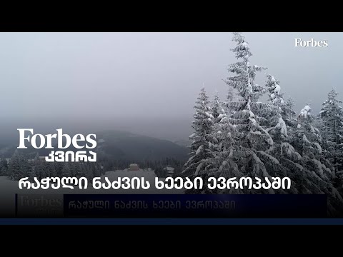 რაჭული ნაძვის ხეები ევროპაში