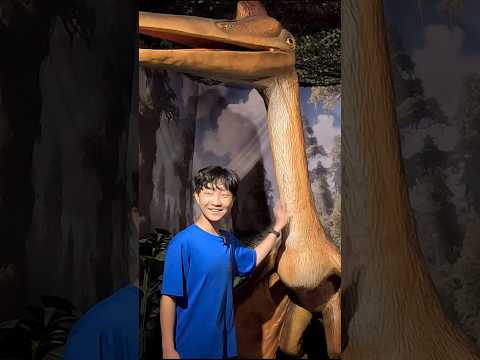 Dinosaurs <strong>Theme</strong> Park  #shorts