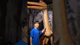 Dinosaurs Theme Park #shorts