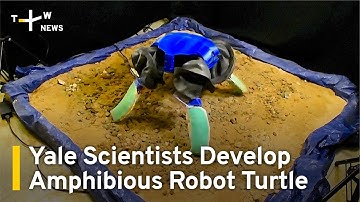 Yale Scientists Develop Amphibious Robot Turtle | TaiwanPlus News