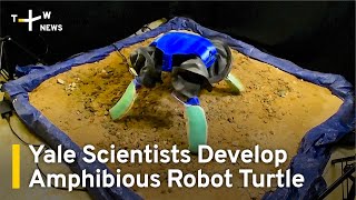 Yale Scientists Develop Amphibious Robot Turtle | TaiwanPlus News